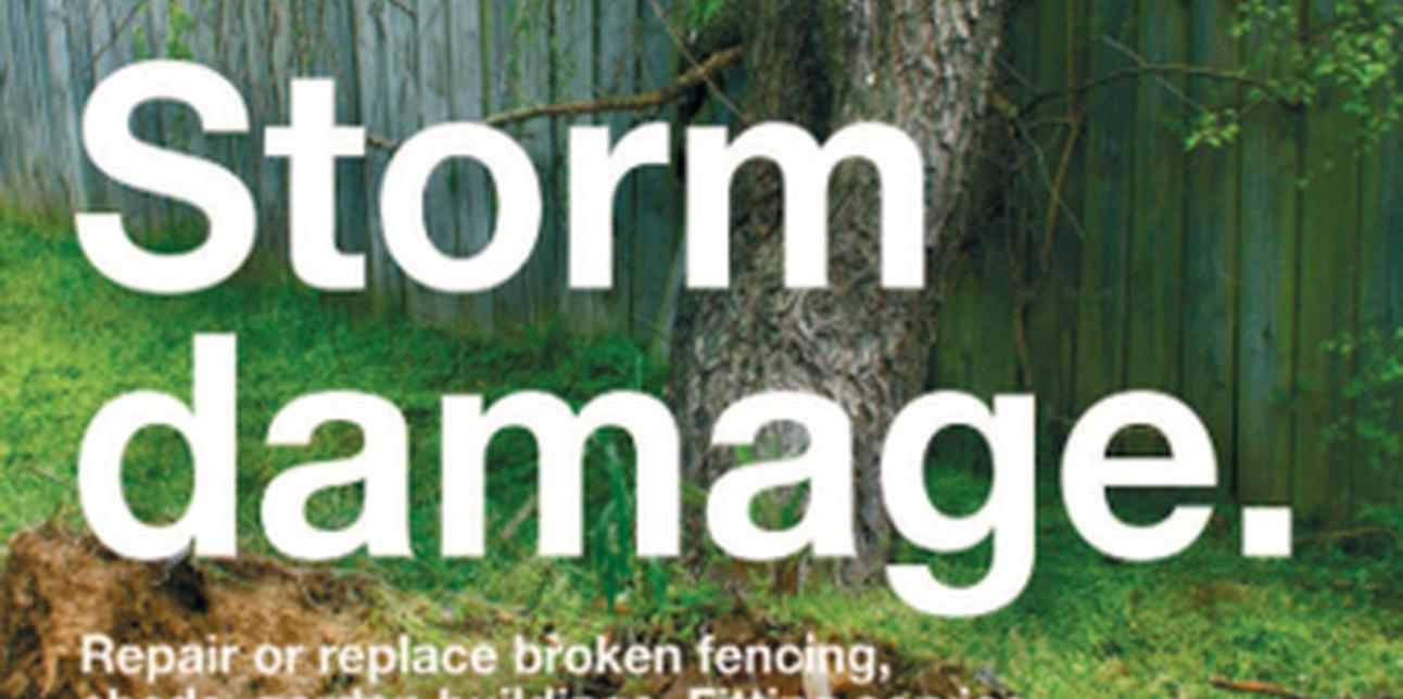 storm damage - storm damage