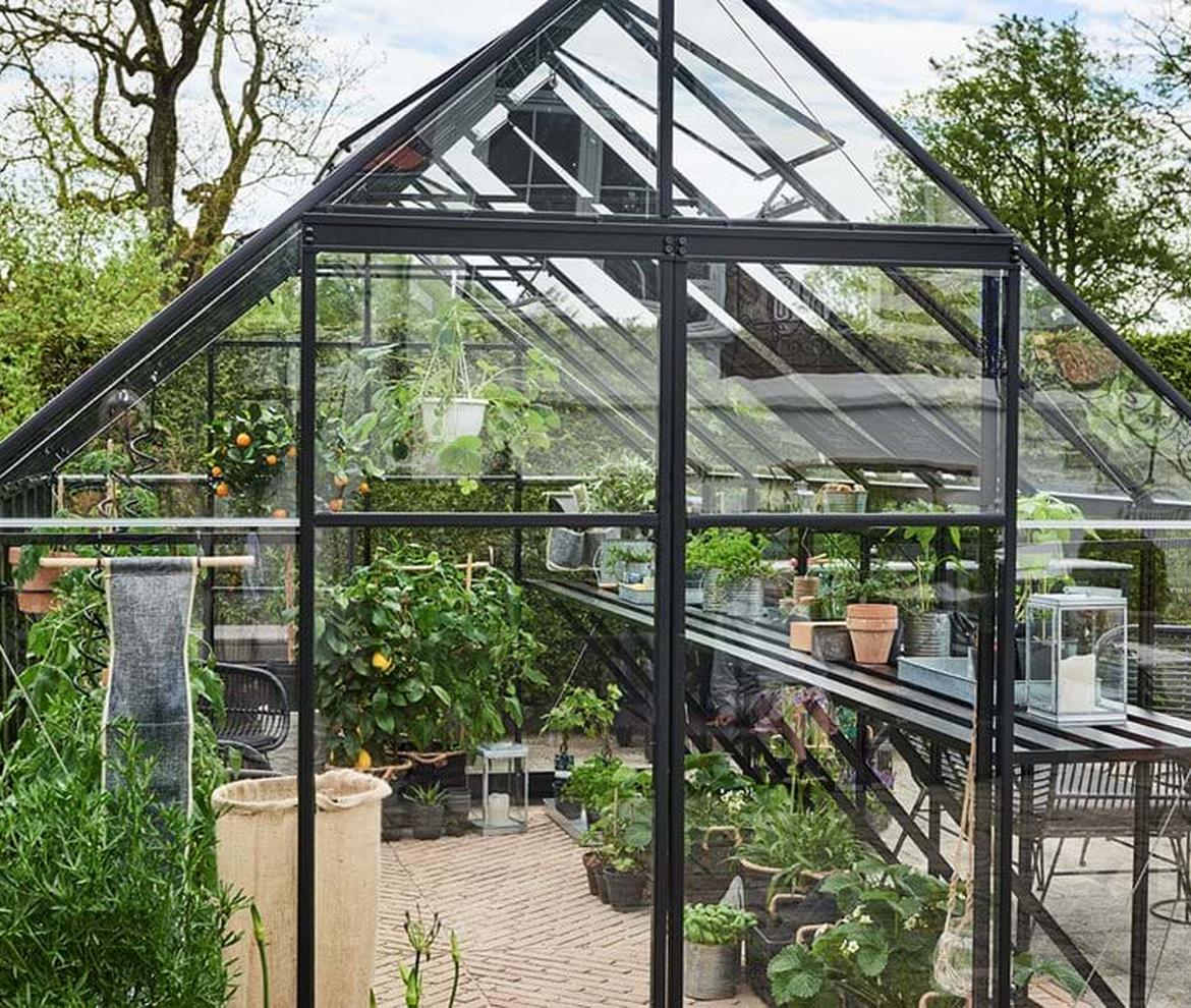 Halls ‘qube’ 8ft x 16ft Greenhouse  - Halls Traditional & Qube Greenhouses