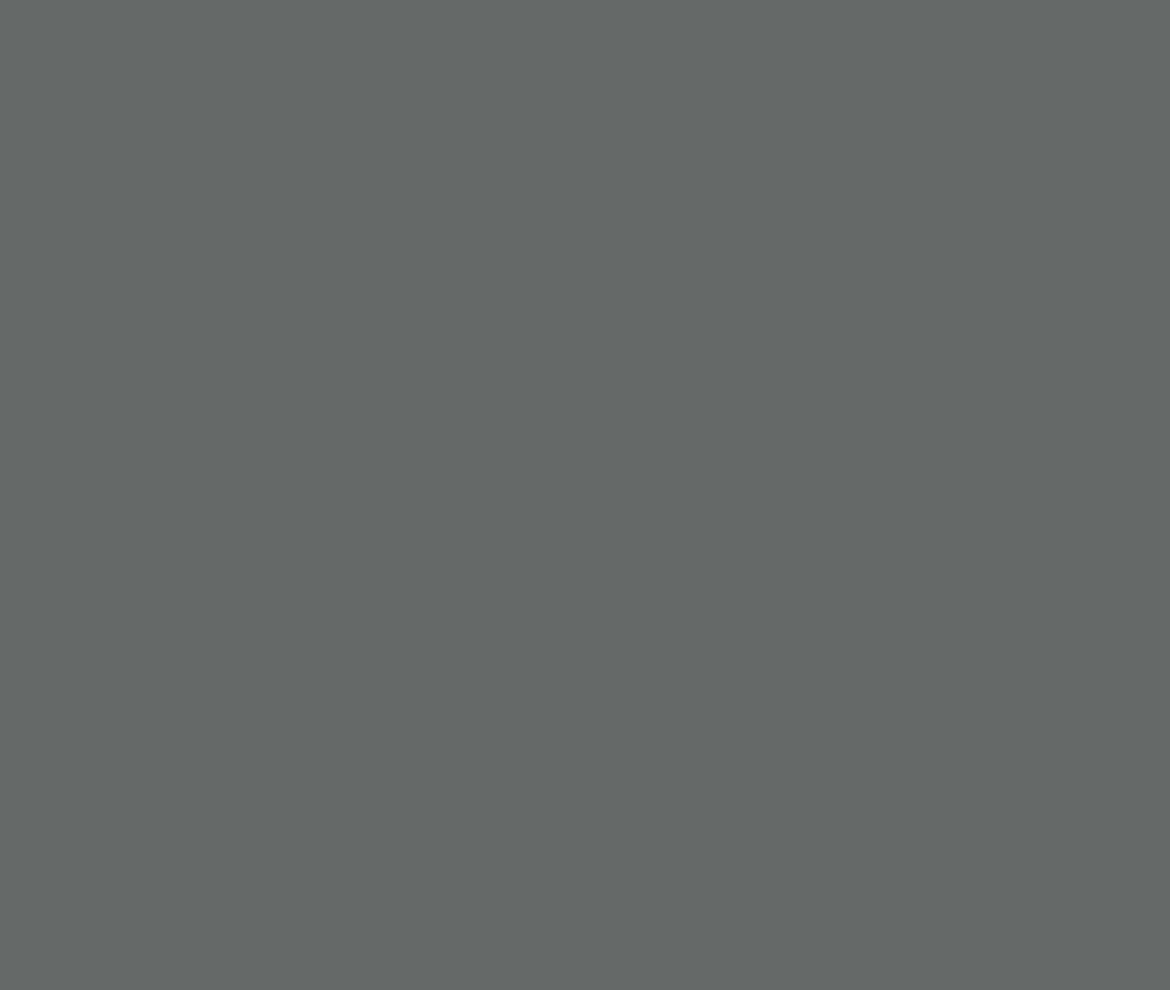 Liberon ‘Dark Silver’ Garden ColourCare Decking Paint 2.5L  - Paints & Oils