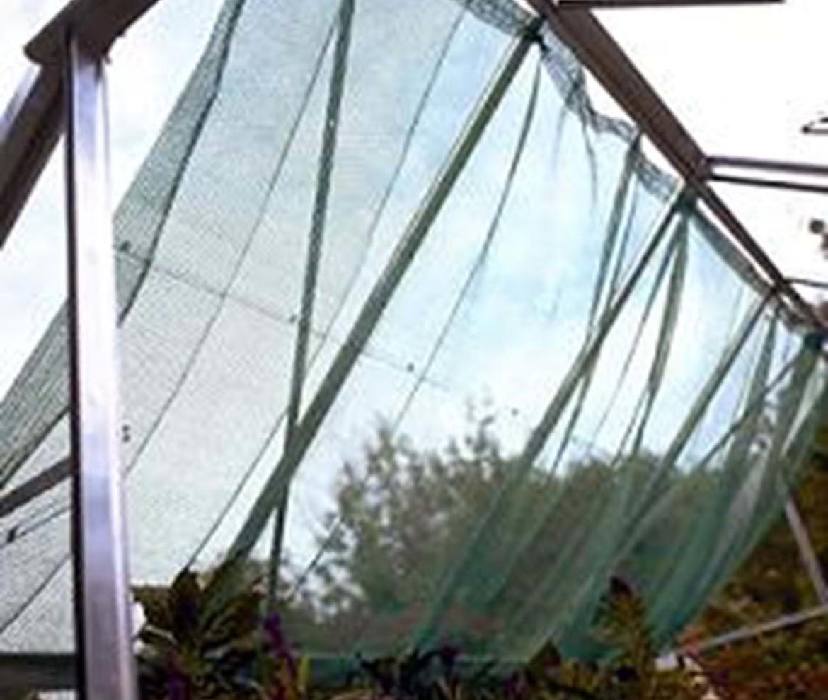 Juliana Shading Screen - Juliana Greenhouses