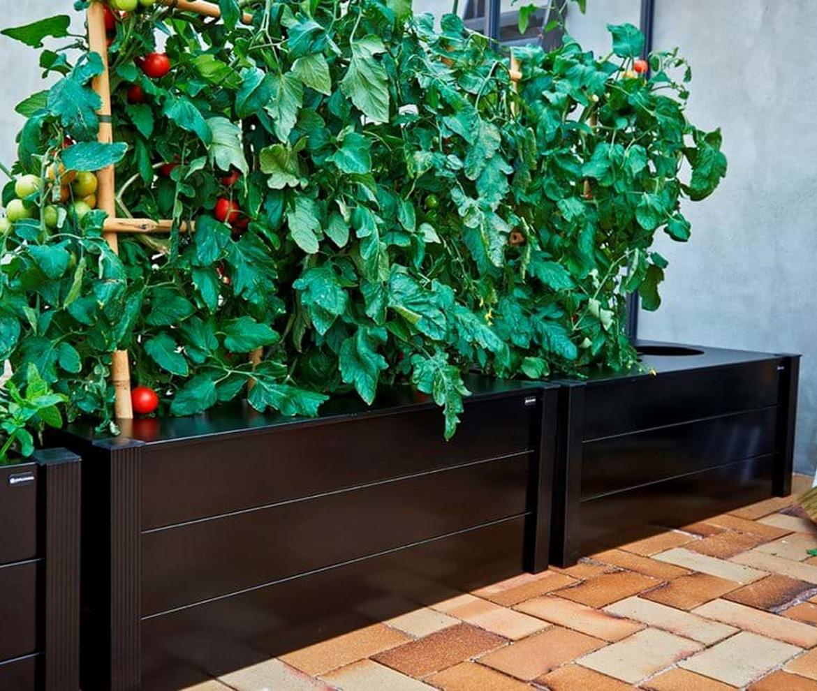 Juliana Box Planter - Juliana Greenhouses