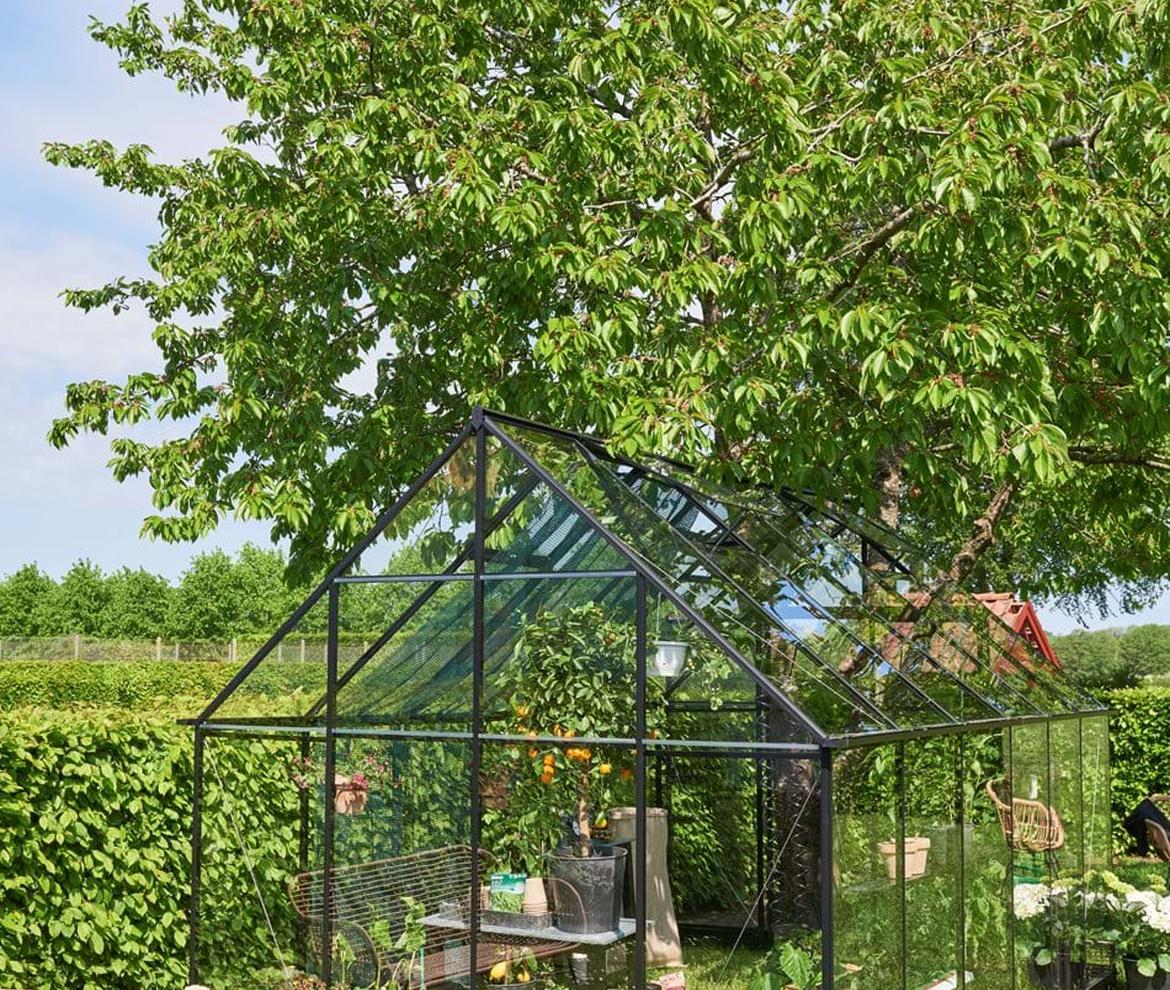 Halls ‘Qube’ 8ft x 12ft Greenhouse  - Halls Traditional & Qube Greenhouses