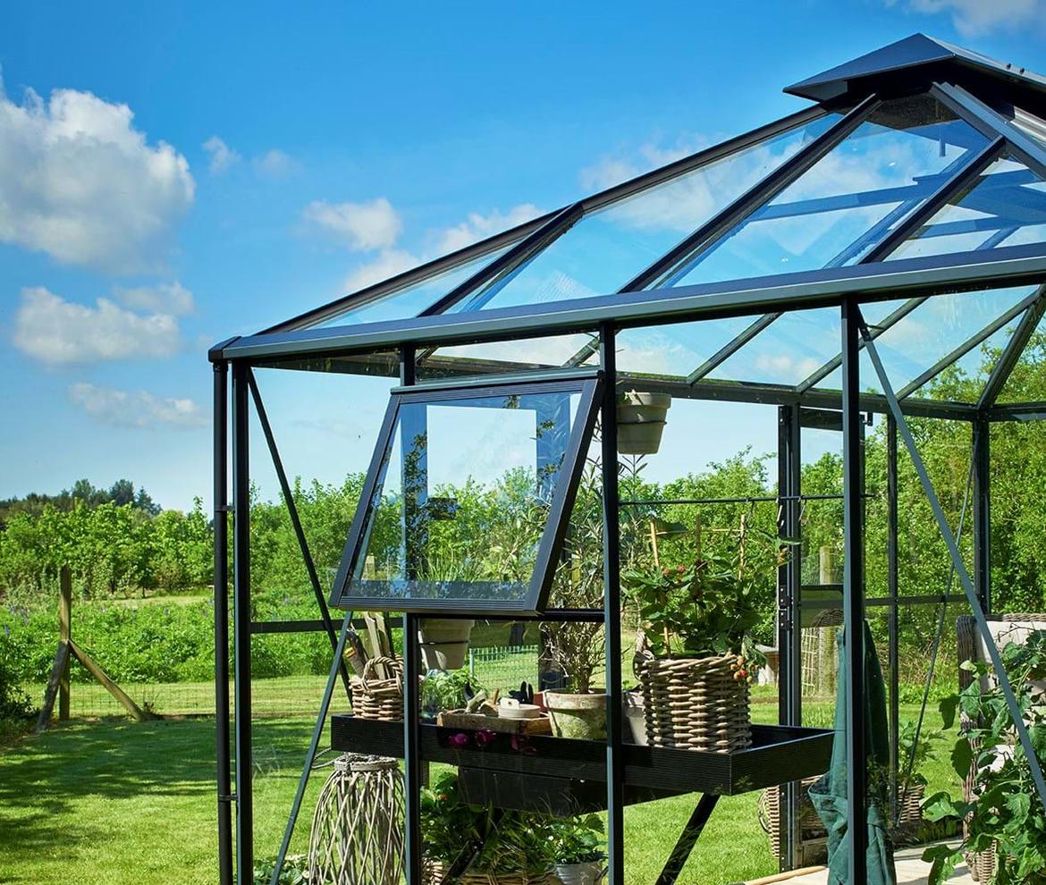 Juliana Grand Oasis - Juliana Greenhouse