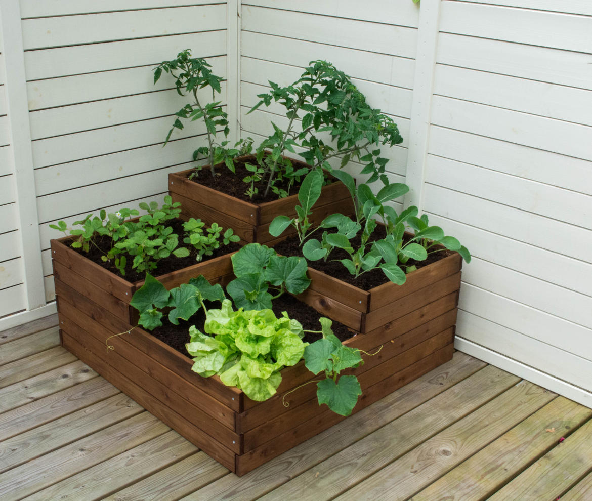 EKJU 4 Level Vegetable Bed - Planters