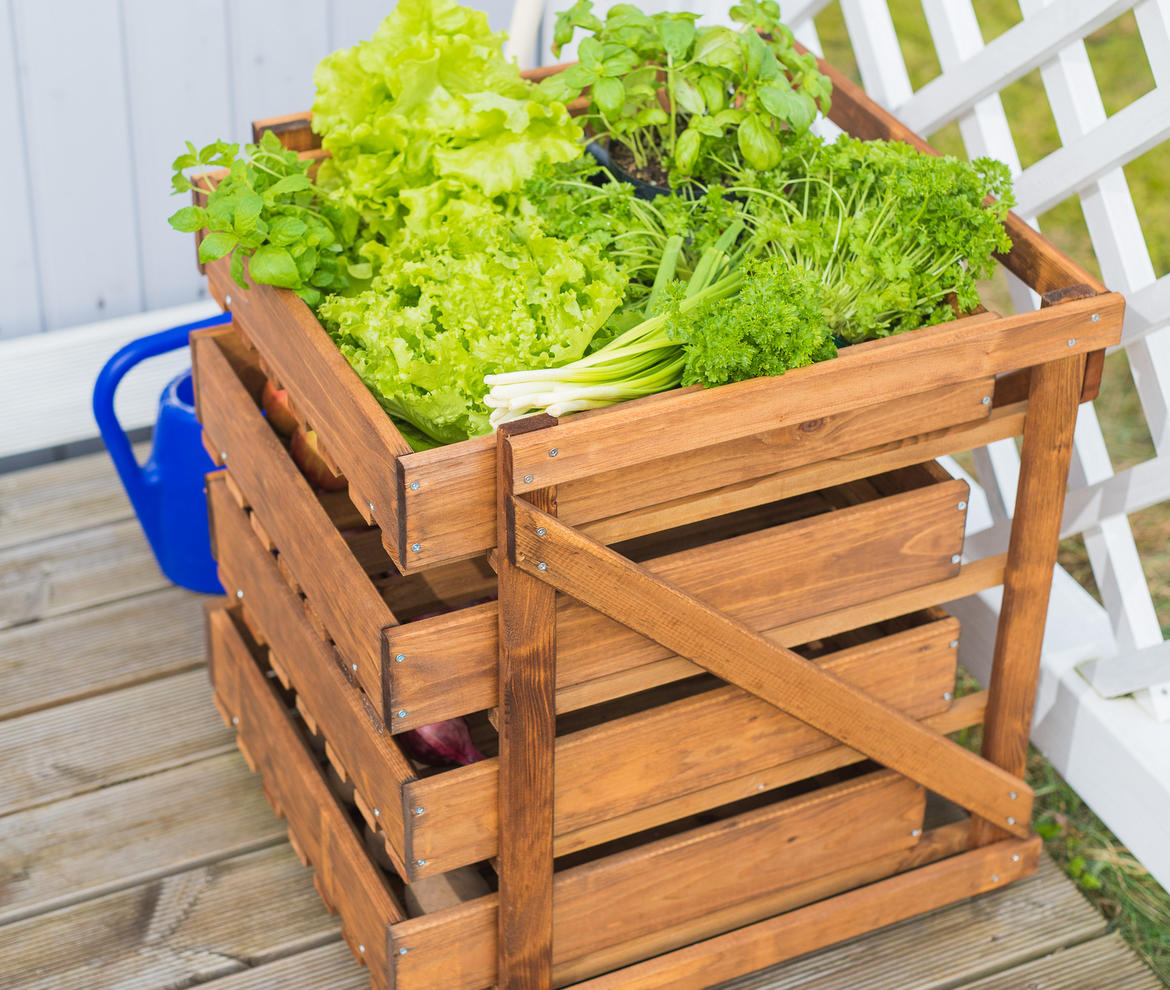 EKJU 4 Drawer Vegetable Larder - Planters