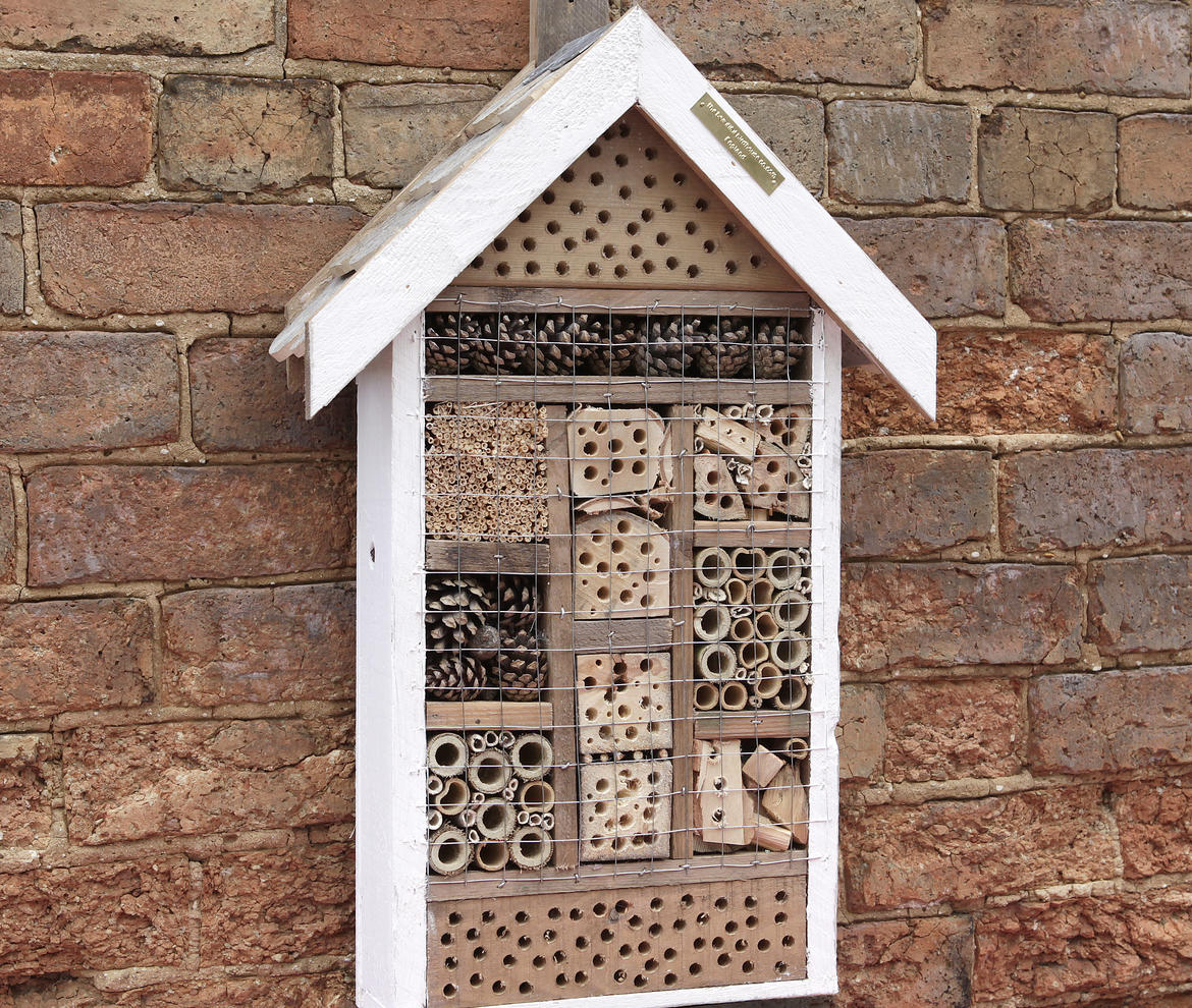Bug Guest House - Bird Care