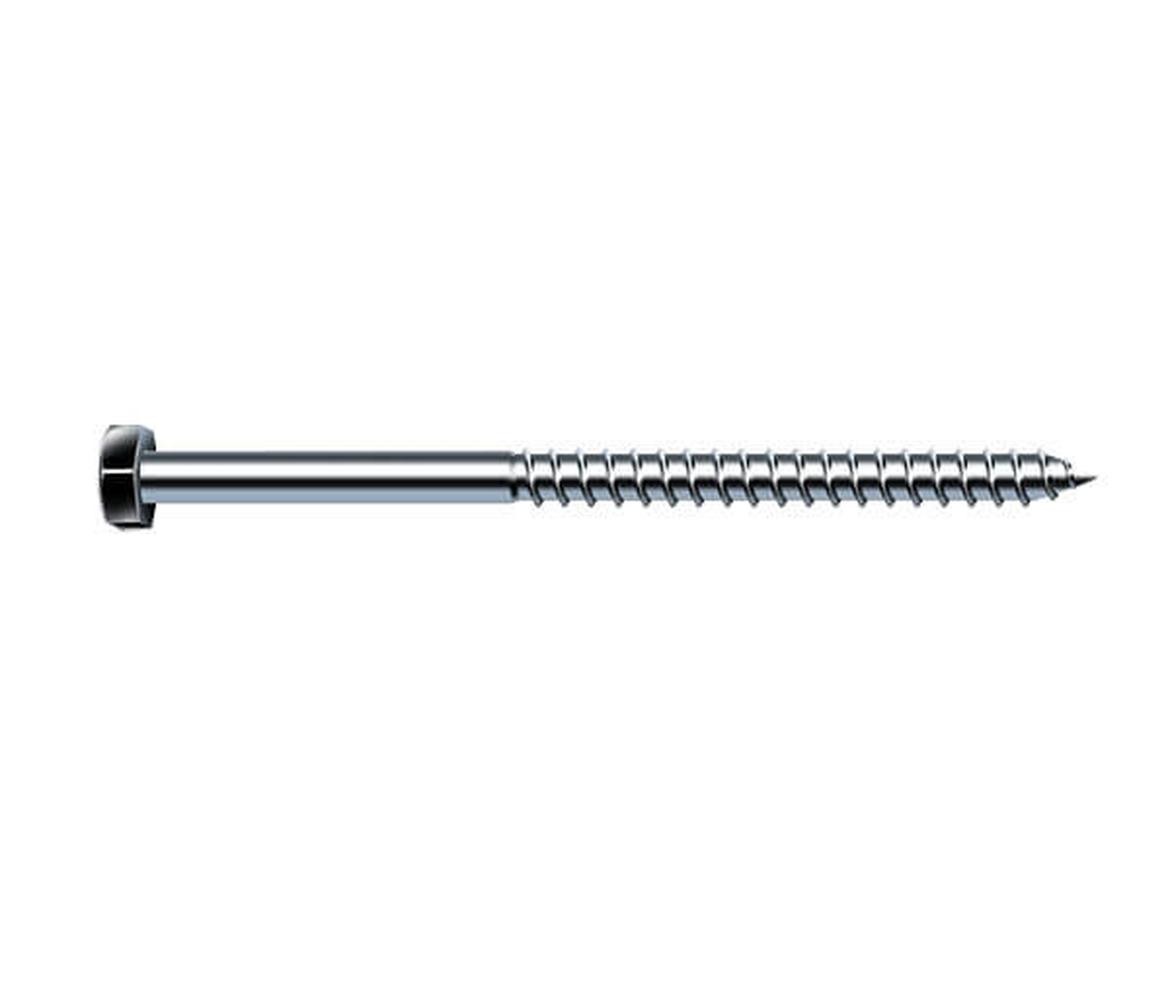 Coach Screw 12mm Head - Screws & Fixings