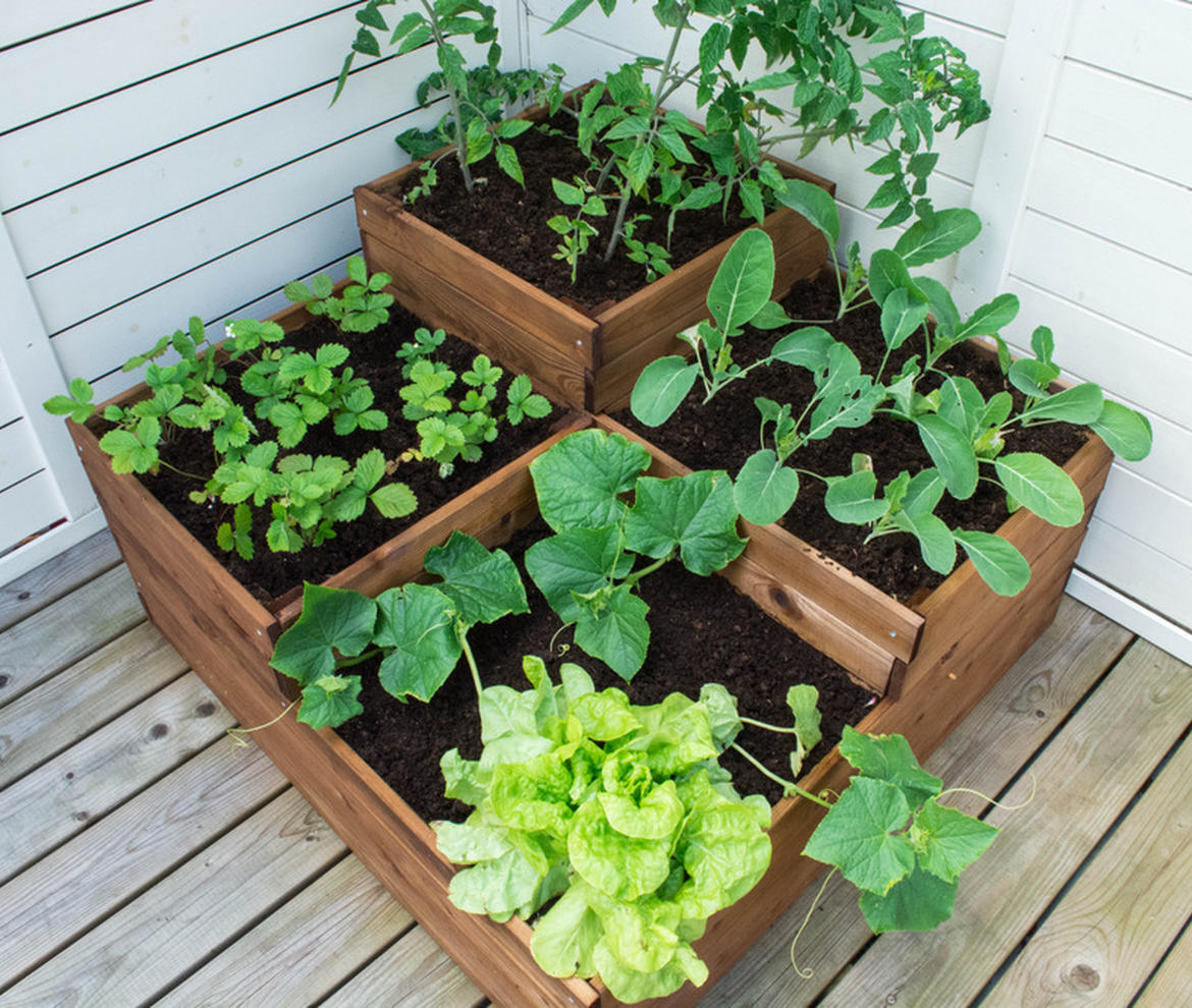 EKJU 4 Level Vegetable Bed - Planters