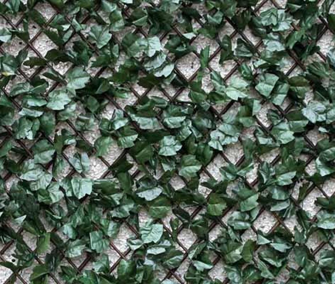 Wonderwall willow trellis with vinyl Foulage Ivy 1m x 1m - Trellis