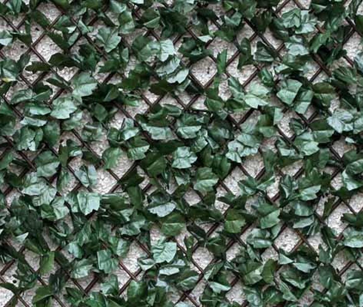 Wonderwall willow trellis with vinyl Foulage Ivy 1m x 1m - Trellis