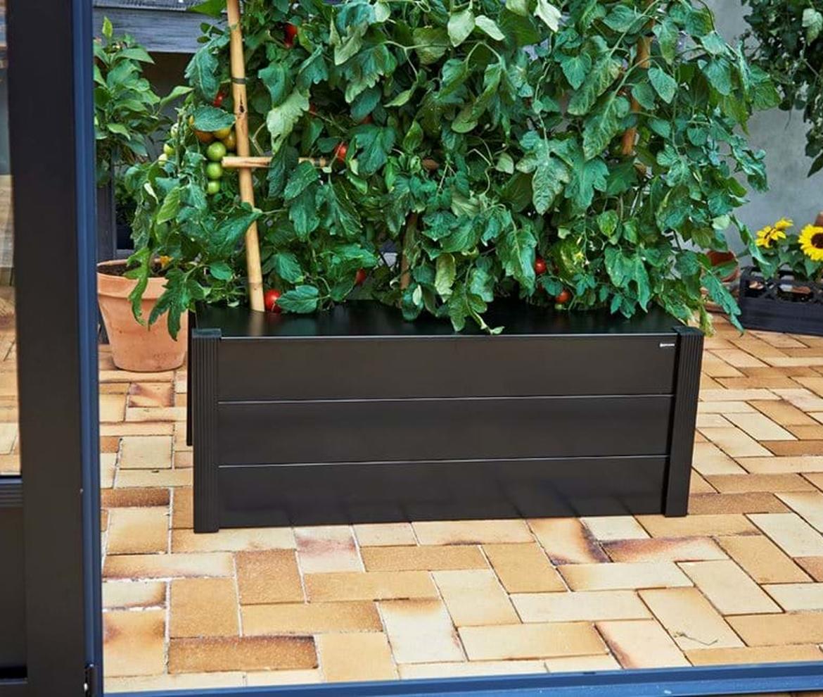 Juliana Watering Box Planter - Juliana Greenhouses