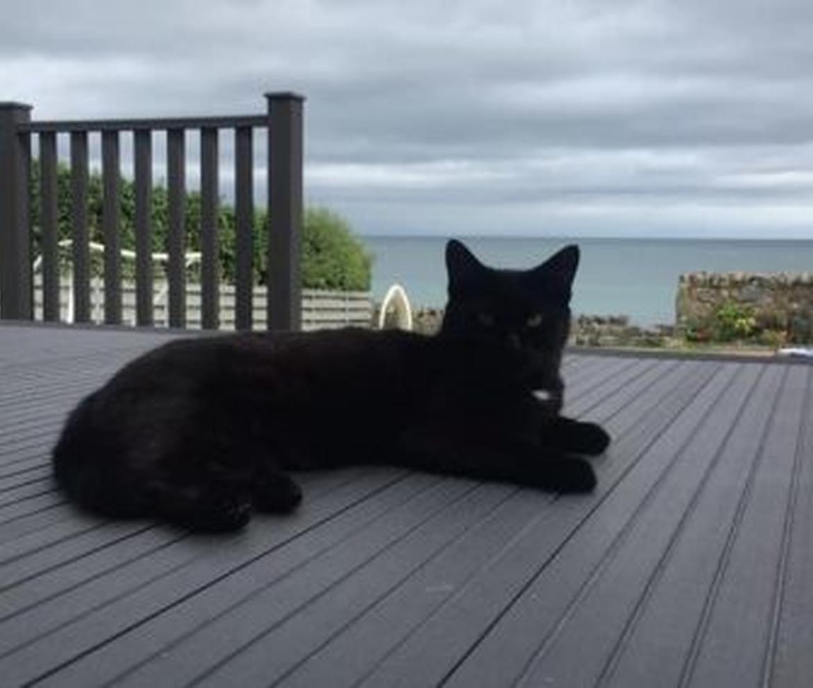 DUO Composite Railing Kit - WoodStoc Composite Decking