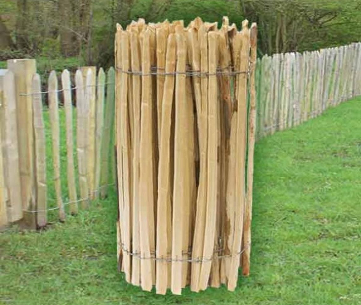  Chestnut Pailing Fencing  - Fencing