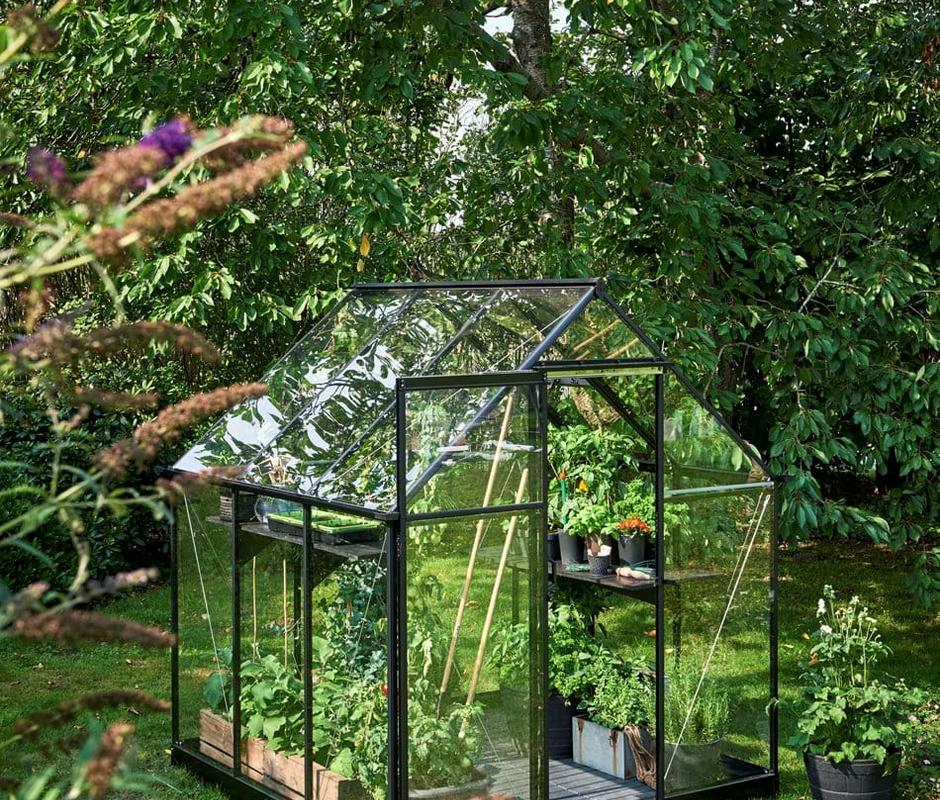 Halls ‘Qube’ 6ft x 6ft Greenhouse - Halls Traditional & Qube Greenhouses