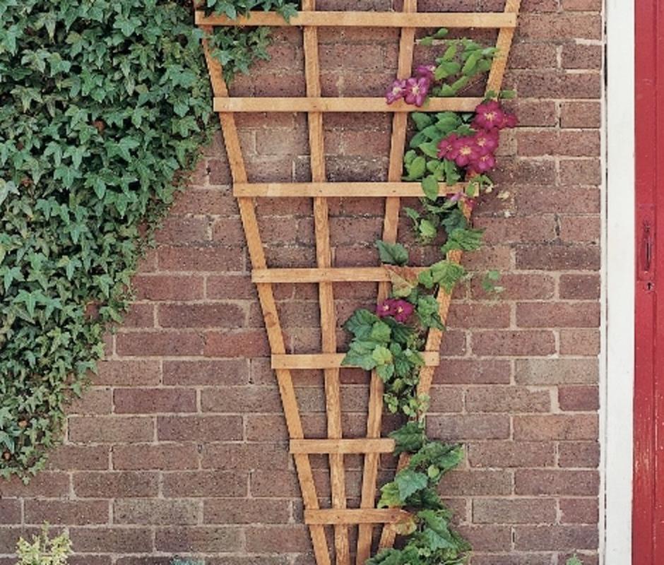 Open Square Fan Trellis 1830mm x 915mm - Trellis