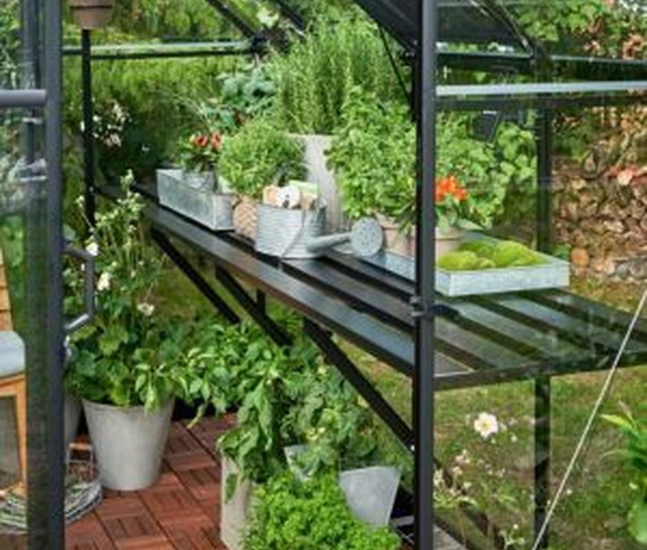 Halls Qube Greenhouse Staging - 