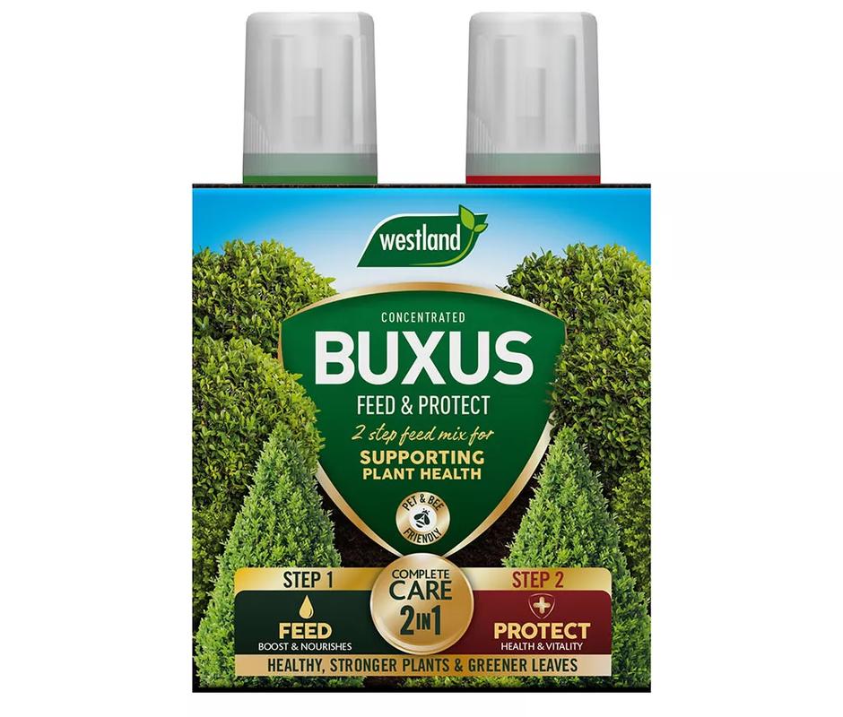 Buxus Feed & Protect - 
