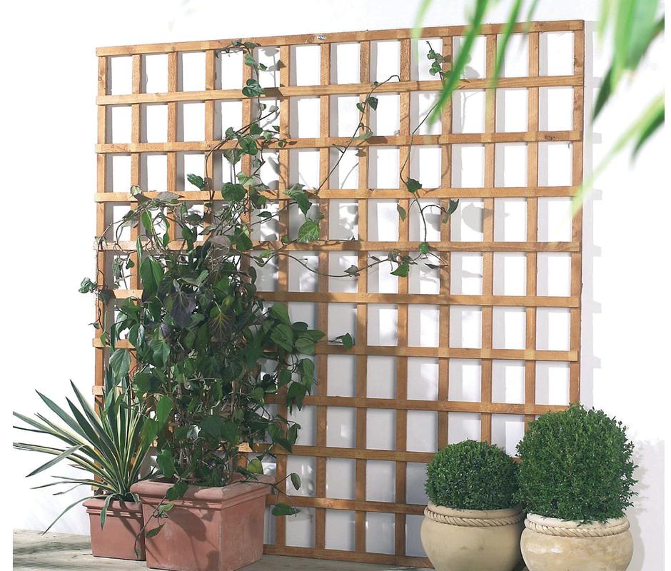 Open Square Trellis  - Trellis