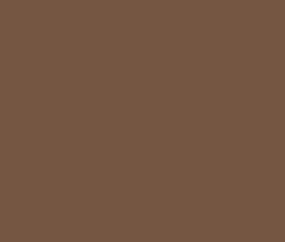 Liberon ‘Bark’ Garden ColourCare Shed and Building Paint - 