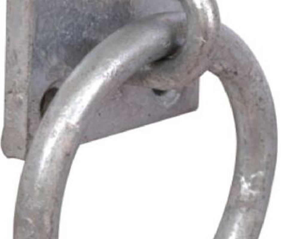 Galvanised Ring Shackle - Gate Hardware