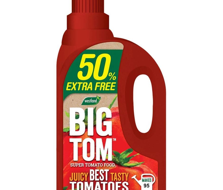 Big Tom Super Tomato food  - 