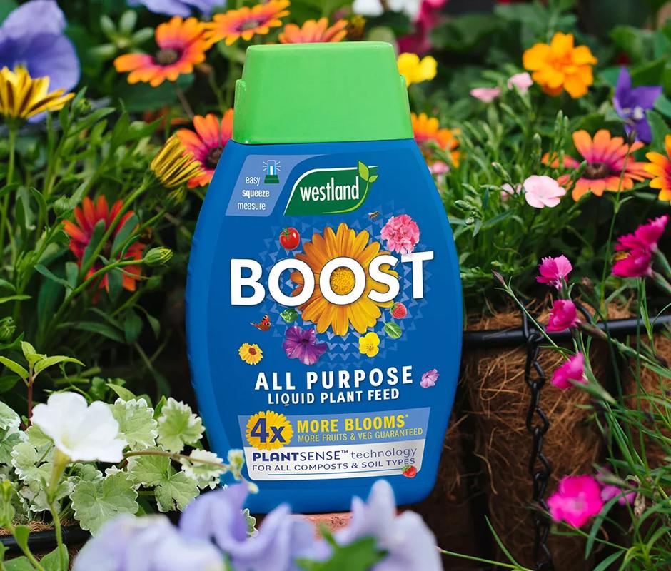 Boost All Purpose Liquid Plant Feed - 