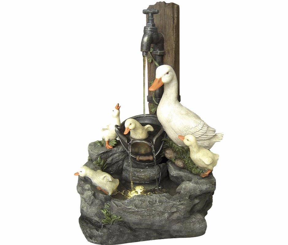 Duck Family at Tap Water Feature - 