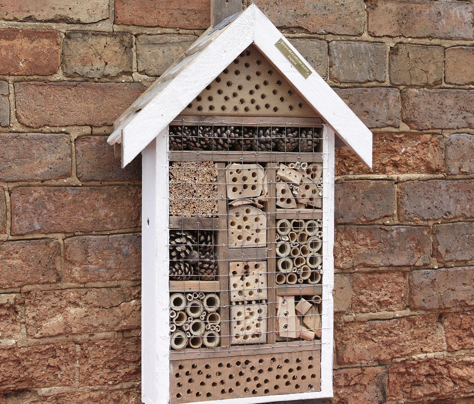 Bug Guest House - Bird Care