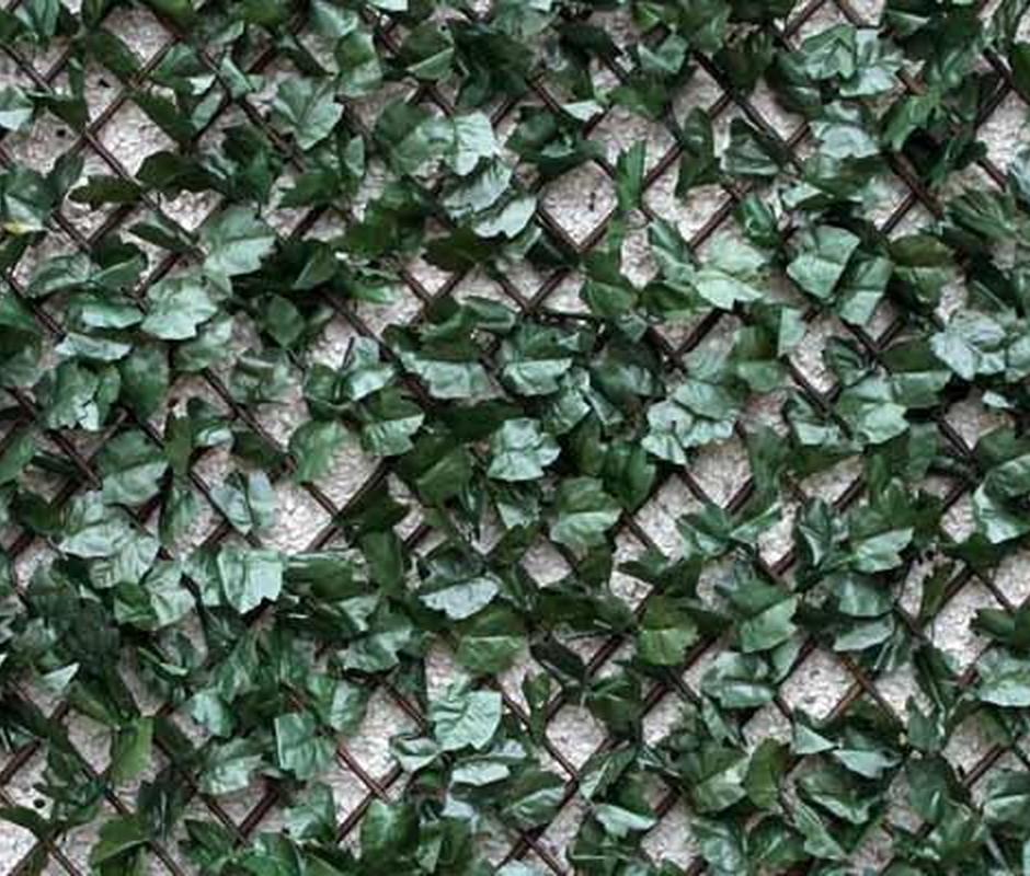 Wonderwall willow trellis with vinyl Foulage Ivy 1m x 1m - 