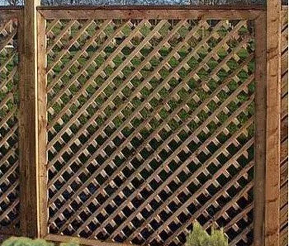 Diamond Trellis - 